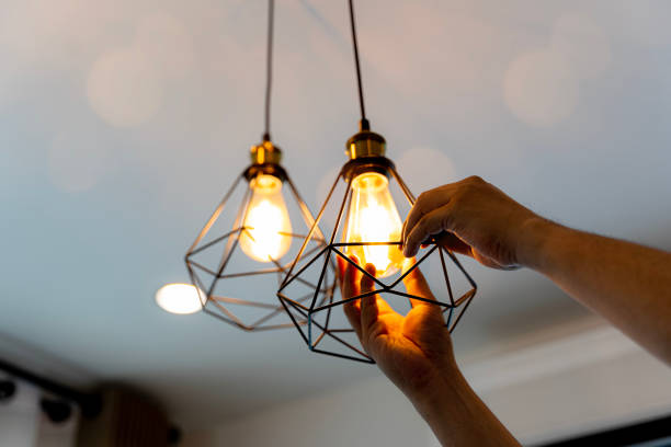 Best Licensed Electrician  in Princeville, HI